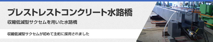 プレストレストコンクリート水路橋